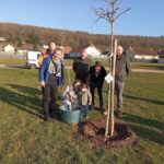 Une naissance, un arbre planté 